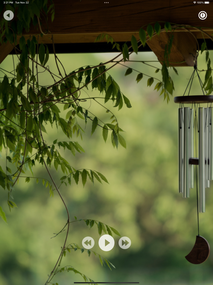 Stay Calm - Relaxing Melodies