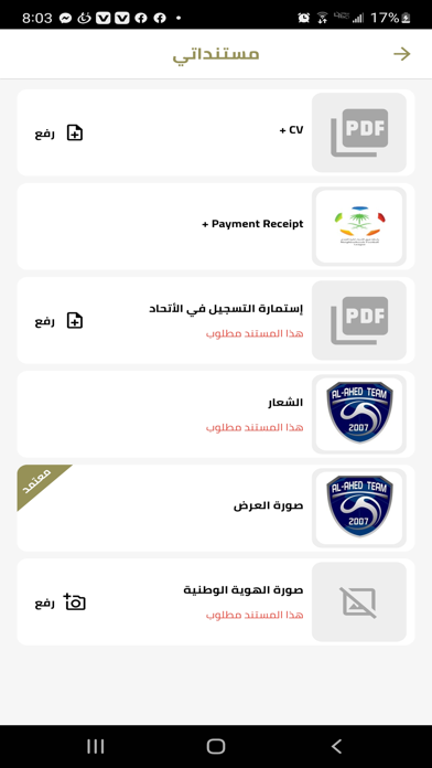 Amateur Football League Screenshot
