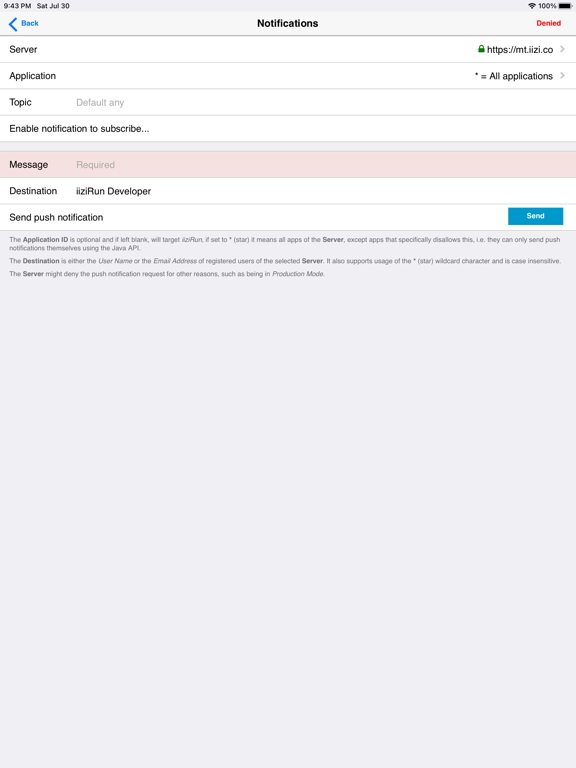 iiziRun Developer iPad screenshot