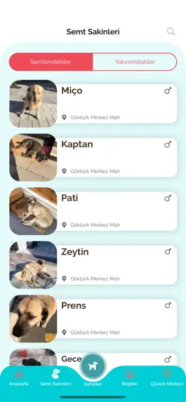 Game screenshot İBB SemtPati hack
