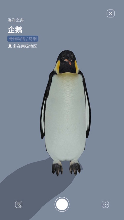 ChatGeo screenshot-3