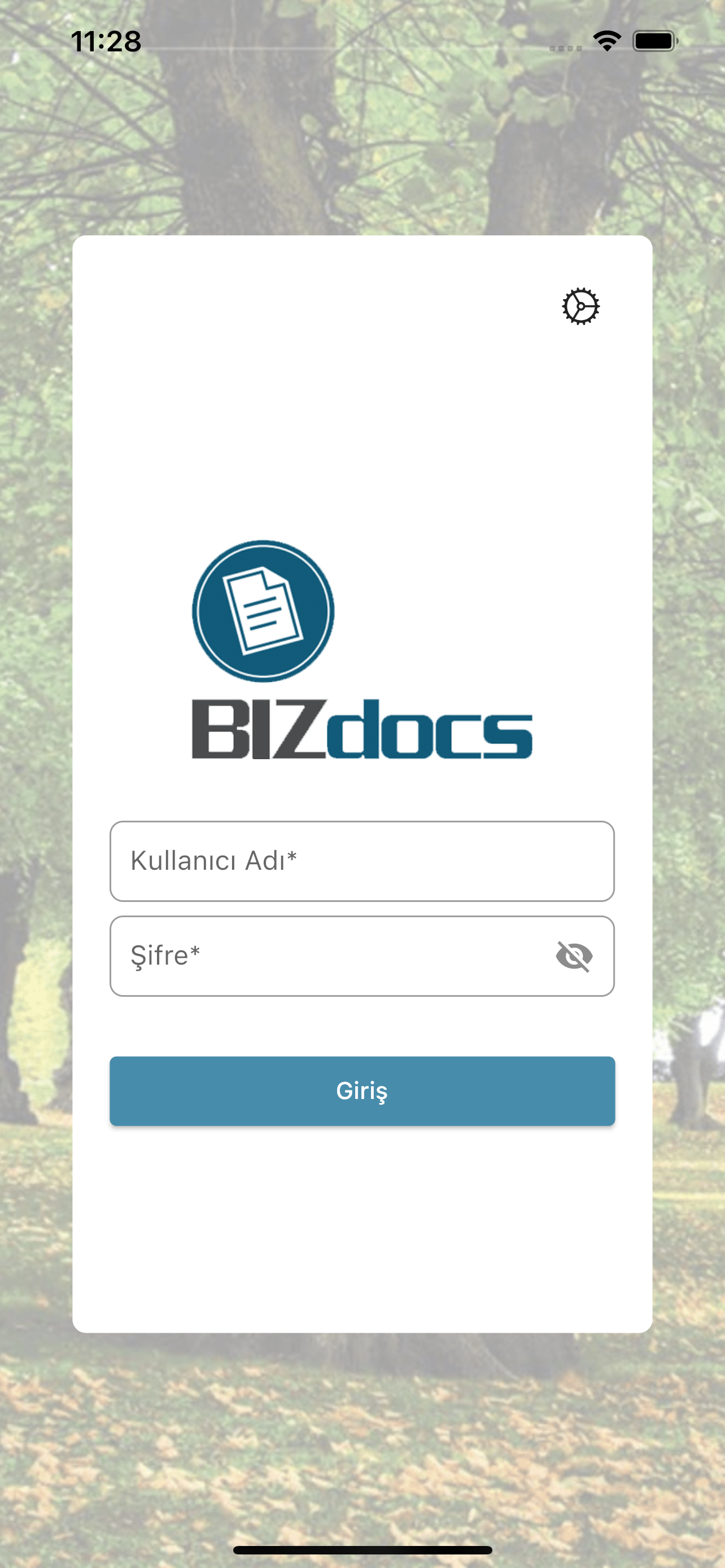BIZdocs EBYS