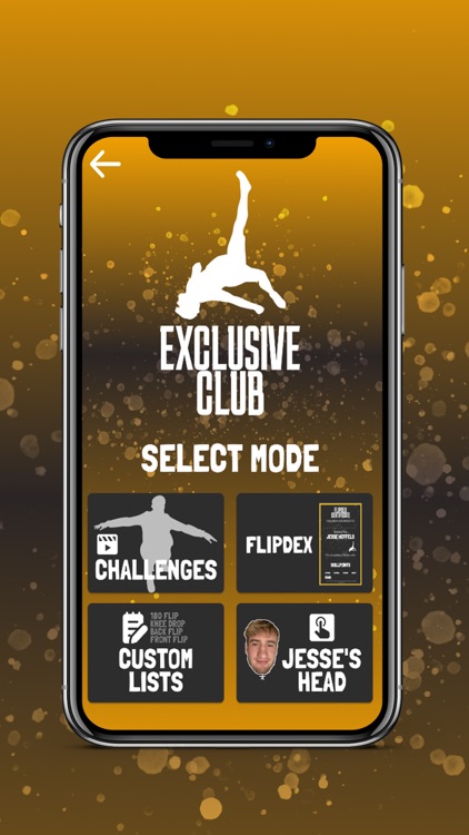Game of FLIP screenshot-6