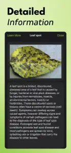 Plant Disease Identifier AI screenshot #5 for iPhone