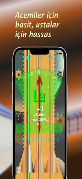 Game screenshot Bağlama,Cura,Saz Tuner mod apk