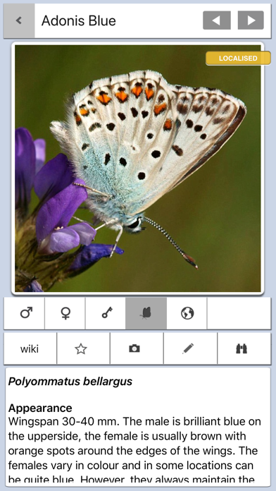 Screenshot #3 pour Butterfly Guide - Europe