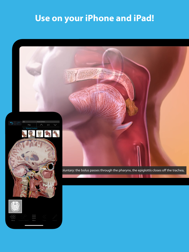 Human Anatomy Atlas 2024 لقطة شاشة
