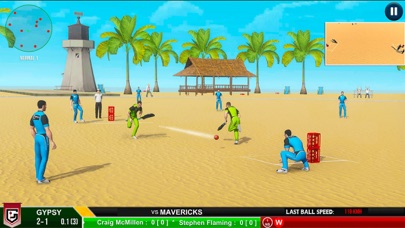 Street Cricket Championship Screenshot