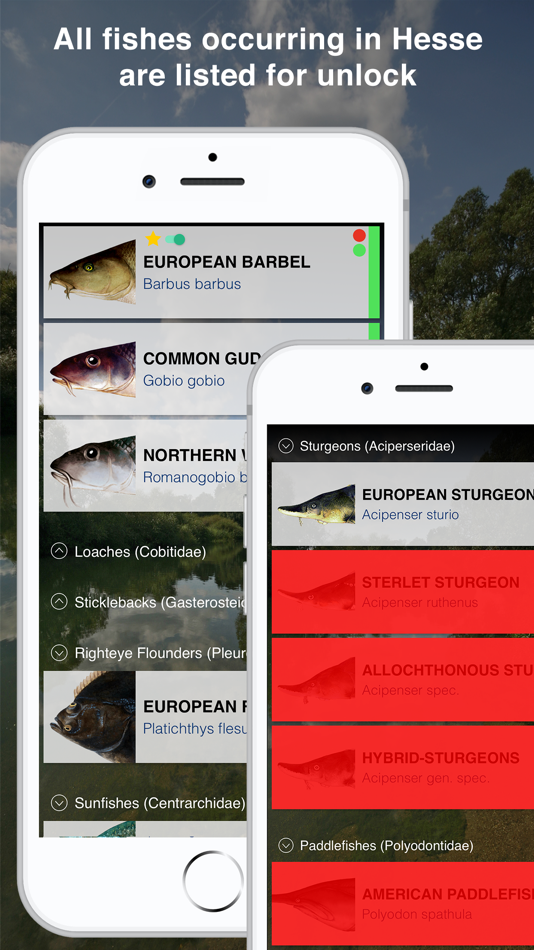 #2. Fishguide Hessia (iOS) 由: Robin Schaefer