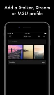 istb lite iphone screenshot 1
