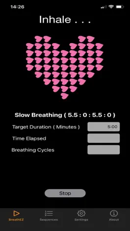 Game screenshot BreathEZ 369 apk
