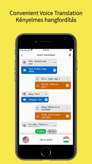 English to Hungarian App Screenshot