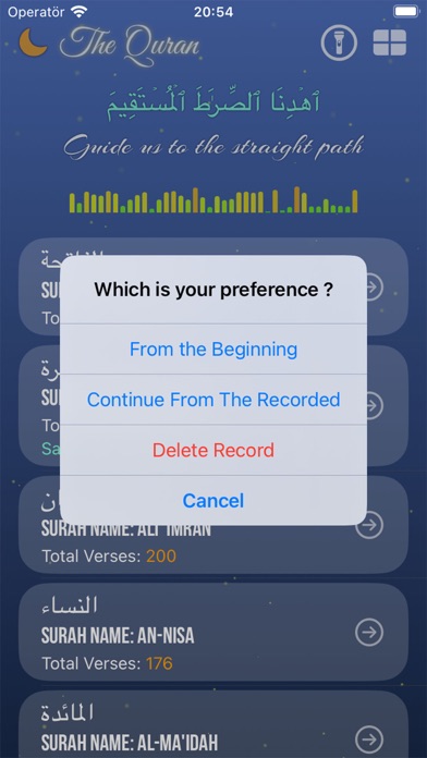 The Quran - Surahs and Verses Screenshot