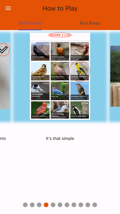 BirdBingo&BirdWatching Safaris Screenshot