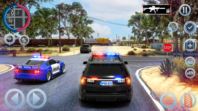 Highway Heat: USA Cops On Duty Screenshot