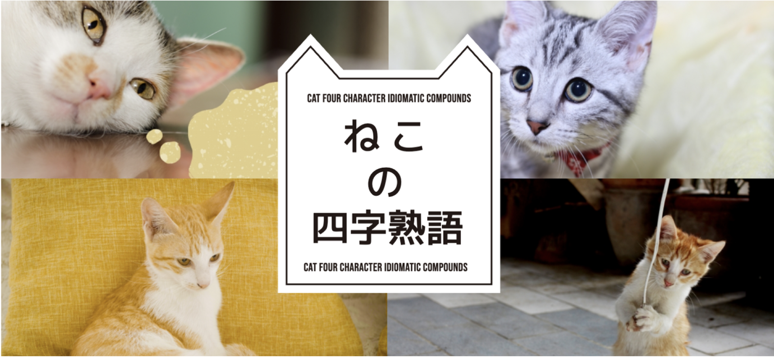 ねこの四字熟語 猫写真 猫図鑑