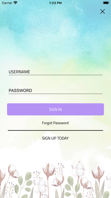 Aaavio Screenshot
