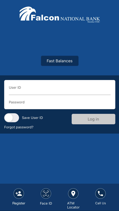 Falcon National Bank Screenshot