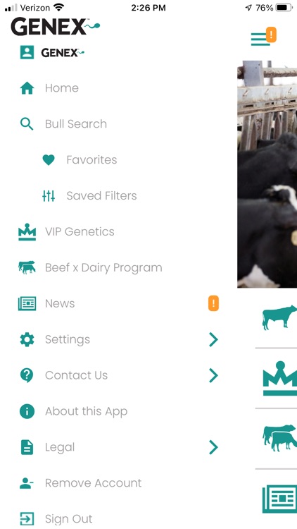 Bull Search