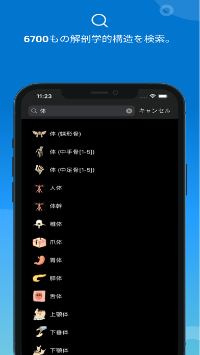 IMAIOS e-Anatomyのおすすめ画像3