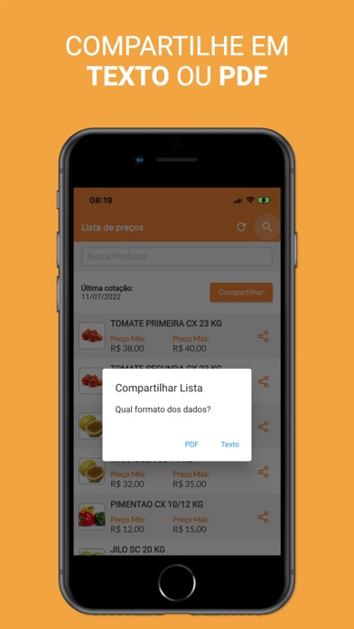 iCeasa Consulta Screenshot