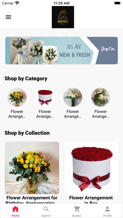 Aster Flowers Screenshot