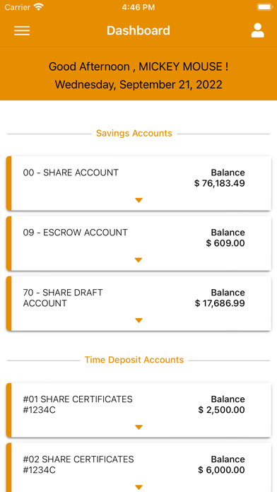 USPLK Employees FCU Mobile Screenshot