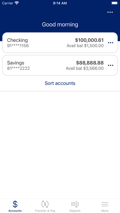Premier Bank (Rock Valley) Screenshot