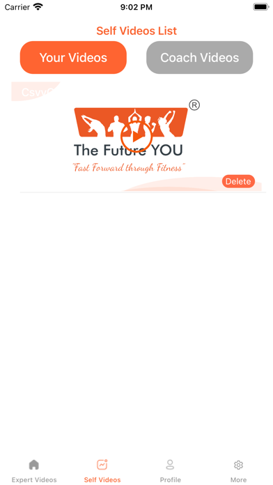 The Future You Screenshot