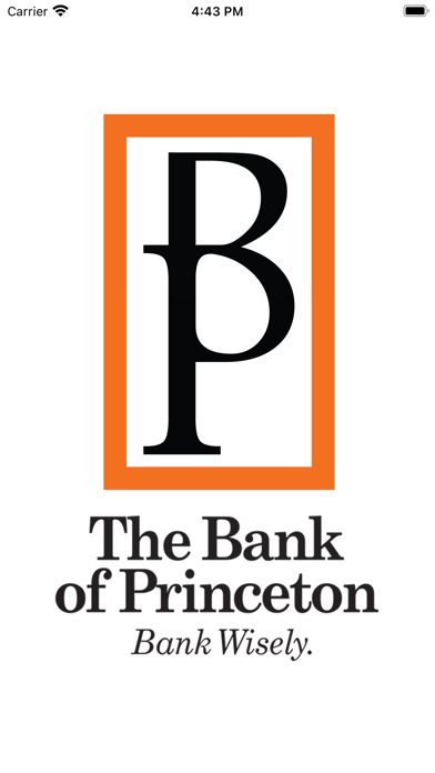 The Bank of Princeton Screenshot