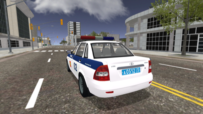 Universal Car Driving - LITE Screenshot