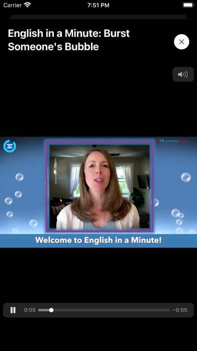 Screenshot #2 pour AEB - Learn English