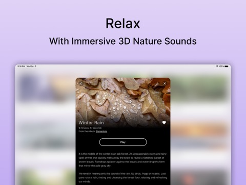 Pure Nature - 3D サウンドスケープのおすすめ画像5