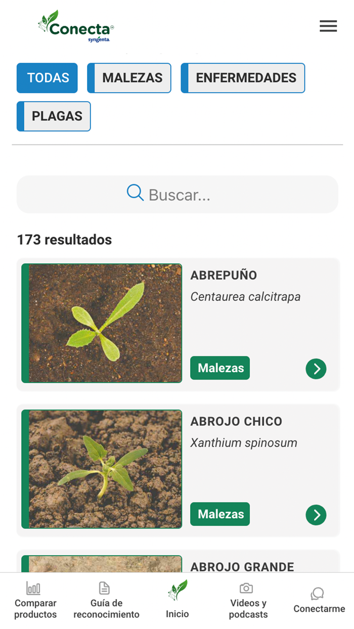 Conecta Syngenta