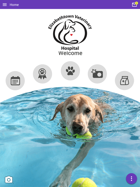 Elizabethtown Vet Hospital iPad screenshot 1 - Business app