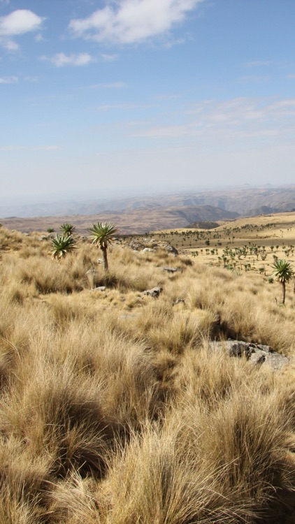 Ethiopia Wallpapers screenshot-3