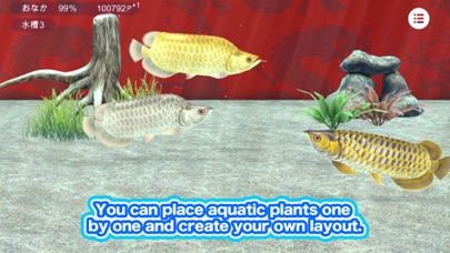 My Asian arowana Aquarium Screenshot