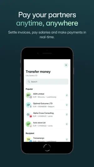 3S Money screenshot 3