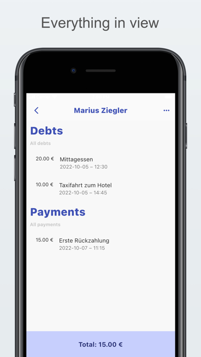 Debt Manager Pro Screenshot