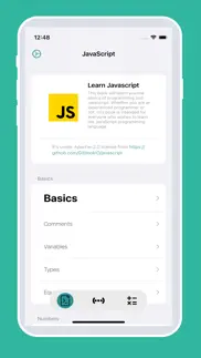 jsea for javascript problems & solutions and troubleshooting guide - 1