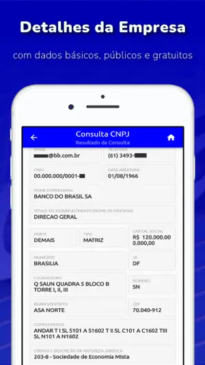 Consulta CNPJ - MEI, ME, EPP screenshot 3