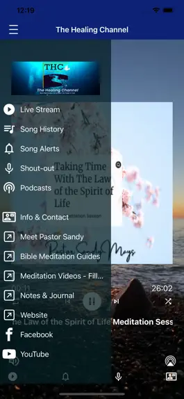 Game screenshot The Healing Channel apk