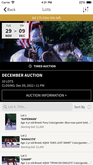 WesternWorldAuctions Screenshot