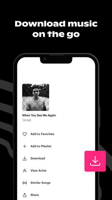 Soundstripe Screenshot