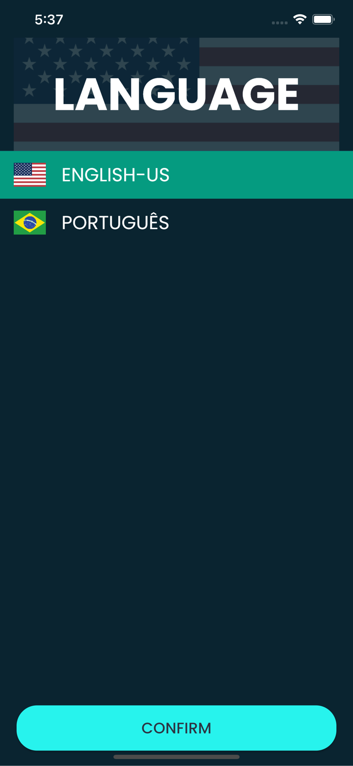 Budini Inventory Inspection