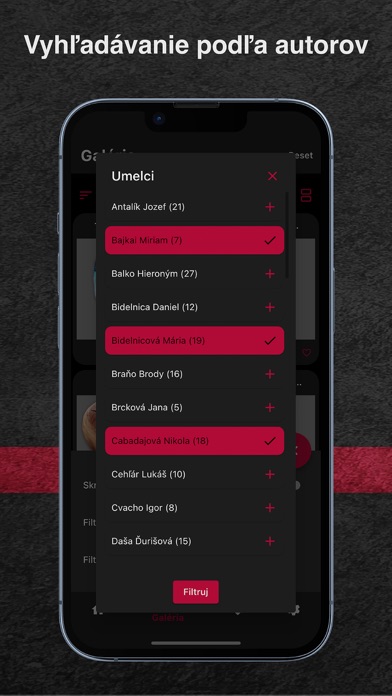 Umenie do vrecka Screenshot