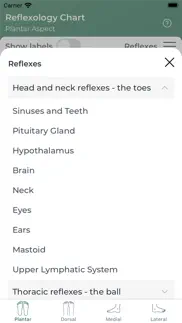 reflexology chart iphone screenshot 4