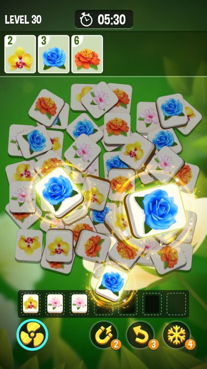 Blossom Triple: Find flowers