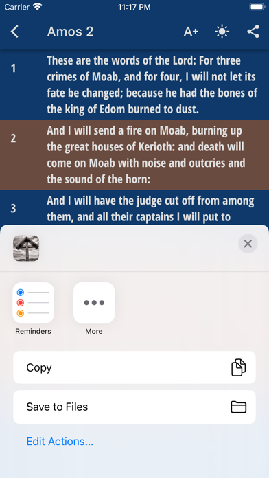 YLT Bible  - Saddle Lights Screenshot