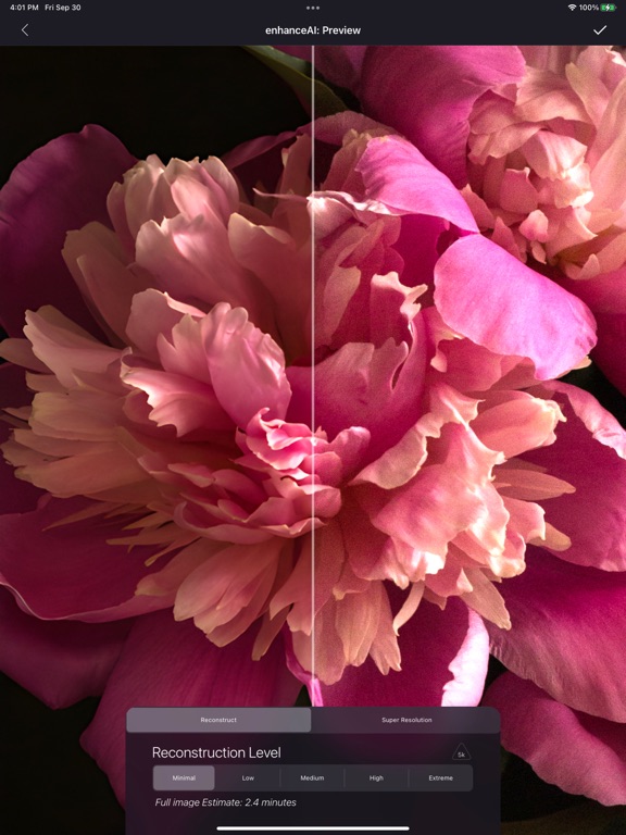 enhanceAl iPad screenshot 7 - Photo & Video app